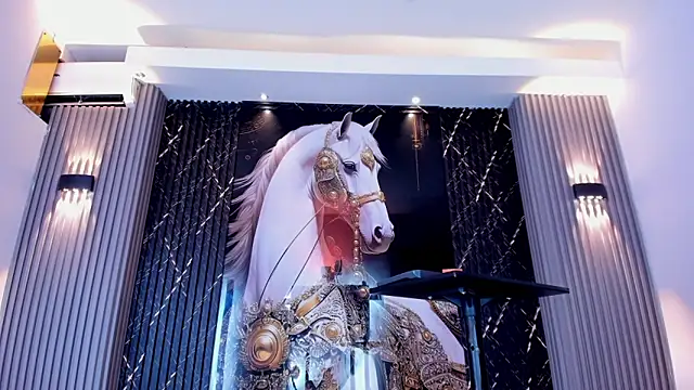 Snapshot of the_knights_of_the_night chatting on February 28, 2026, 6:40 pm the knights of the night online show from February 28, 2026, 6:40 pm