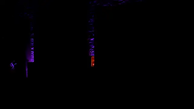 Snapshot of DeliaaSmith chatting on March 12, 2026, 5:17 pm DeliaaSmith online show from March 12, 2026, 5:17 pm