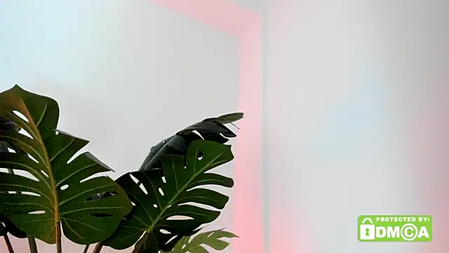 lovesweetash online show from March 16, 2026, 12:53 pm