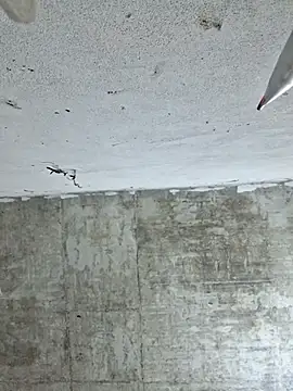 Mey mey2k3 online show from March 2, 2026, 2:23 am