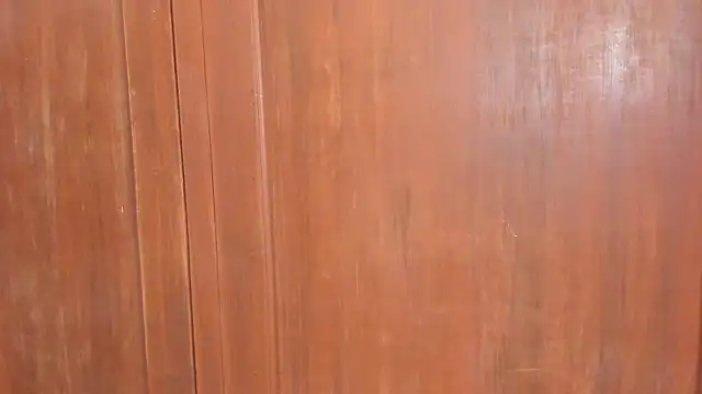 Sophiia88 online show from February 18, 2026, 12:01 pm