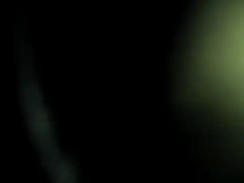 camila wood online show from February 10, 2026, 12:09 am