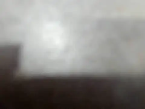 camila wood online show from June 11, 2026, 2:53 am