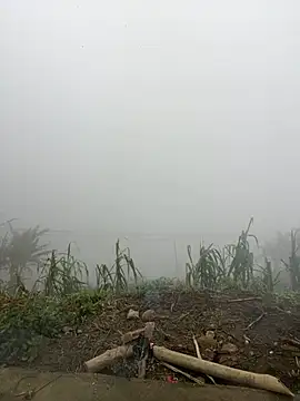 susin-beo online show from February 10, 2026, 1:59 am