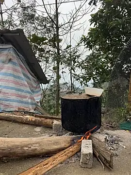 susin-beo online show from February 3, 2026, 7:46 am