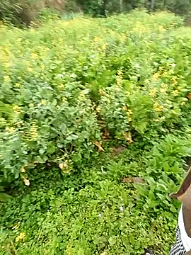 baby 112233 online show from March 13, 2026, 1:10 am