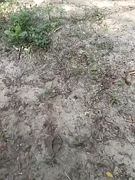 kalai 32 online show from February 3, 2026, 6:33 am