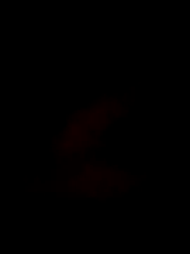 S7LEALTADPERVLIMA7 online show from June 11, 2026, 2:53 am