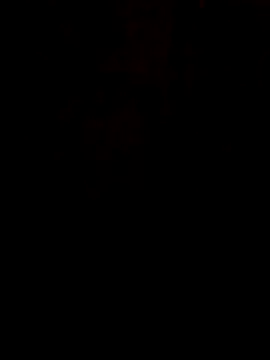 S7LEALTADPERVLIMA7 online show from June 21, 2026, 8:03 pm
