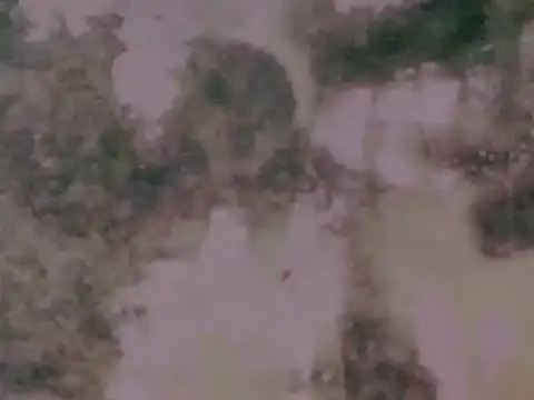 worldClassSelfsuckerxxxxx online show from March 4, 2026, 7:10 pm