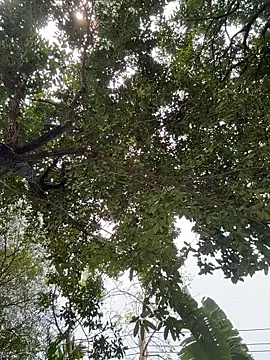 SofiaMurr online show from February 12, 2026, 4:01 am