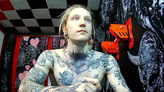 Elven Damocles online show from February 5, 2026, 2:13 pm