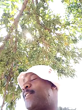 Snapshot of Sbuda3159 chatting on February 8, 2026, 11:41 am Sbuda3159 online show from February 8, 2026, 11:41 am