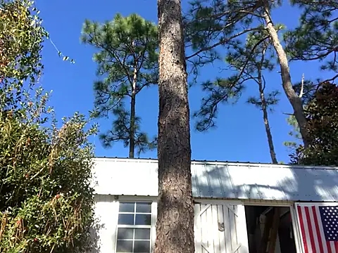 SwordStallionVibes online show from February 7, 2026, 6:27 pm