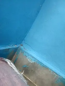 PatelMirzapur online show from February 5, 2026, 1:56 am