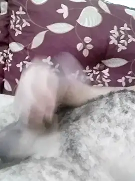 fwg2 online show from March 11, 2026, 10:09 am