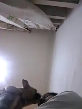 CubanoxxxSex online show from February 12, 2026, 5:13 pm