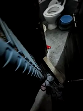 Snapshot of desimuslimcouple23 chatting on March 1, 2026, 6:08 pm desimuslimcouple23 online show from March 1, 2026, 6:08 pm