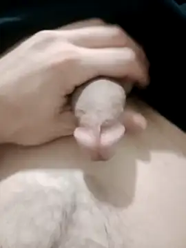 merdo93 online show from February 7, 2026, 7:22 pm