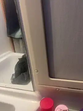 stallone italiano 62 online show from February 26, 2026, 6:57 am