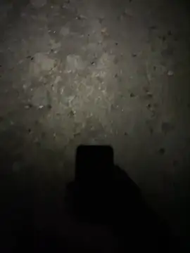 stallone italiano 62 online show from February 17, 2026, 11:24 pm