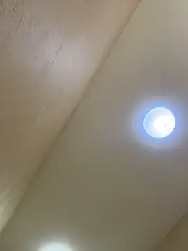 bhagihero online show from March 23, 2026, 10:26 am