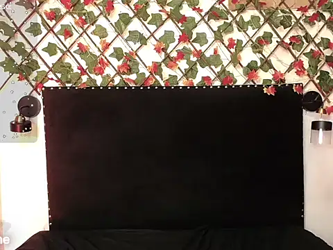 Snapshot of DakotaRouse1 chatting on February 13, 2026, 11:54 am DakotaRouse1 online show from February 13, 2026, 11:54 am