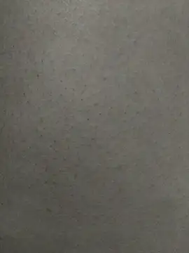 Ladylulu00 online show from February 10, 2026, 12:42 am