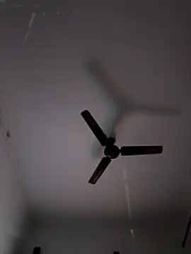 Darkhoneycouple online show from February 11, 2026, 10:53 pm