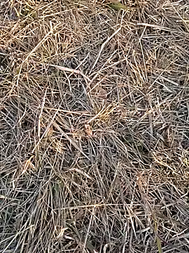 Snapshot of Kiran_hote chatting on February 13, 2026, 11:54 am Kiran hote online show from February 13, 2026, 11:54 am