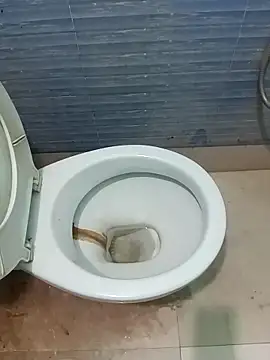 cutezara4 online show from March 17, 2026, 6:44 pm