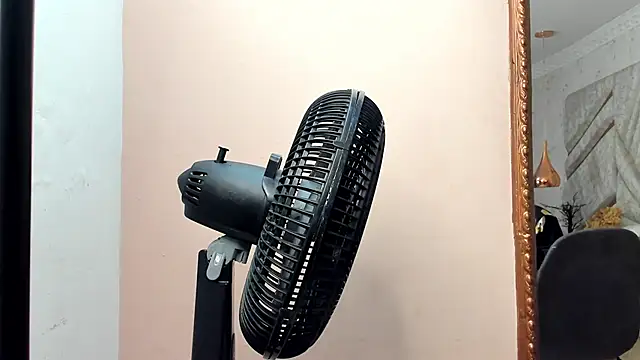 CloheBell online show from February 16, 2026, 11:31 am