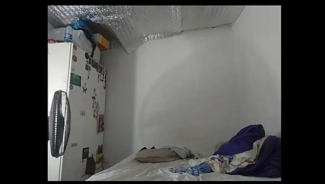 OnlyWishMe online show from February 11, 2026, 7:30 am