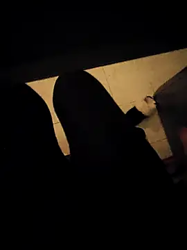 Snapshot of Ginevra01 chatting on March 20, 2026, 8:21 pm Ginevra01 online show from March 20, 2026, 8:21 pm