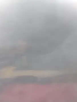 Snapshot of cobrosdepagos chatting on March 14, 2026, 3:07 pm cobrosdepagos online show from March 14, 2026, 3:07 pm