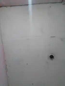 Snapshot of cobrosdepagos chatting on February 19, 2026, 1:57 am cobrosdepagos online show from February 19, 2026, 1:57 am