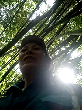 toyo 668 online show from June 24, 2026, 7:29 am