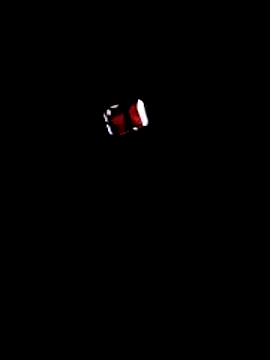 BrayingTrail online show from February 12, 2026, 1:44 pm