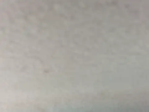 dustbunny64 online show from July 31, 2026, 4:15 pm