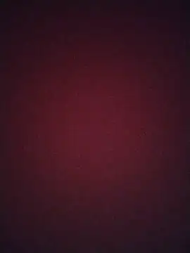 Snapshot of Regina_23 chatting on February 20, 2026, 12:07 am Regina 23 online show from February 20, 2026, 12:07 am