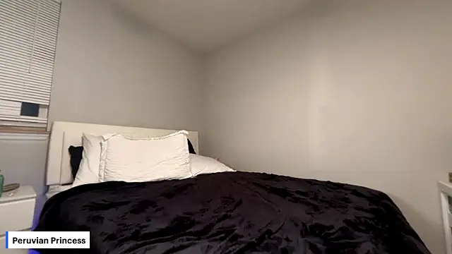 peruvianprincessxo online show from February 19, 2026, 12:29 am