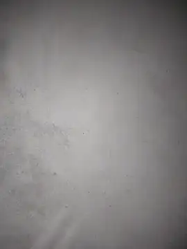 Baby flower 1 online show from March 24, 2026, 2:17 pm