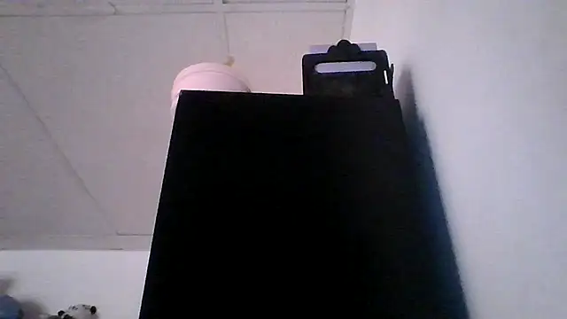 Snapshot of pocahontas_hotty chatting on April 4, 2026, 6:47 pm pocahontas hotty online show from April 4, 2026, 6:47 pm