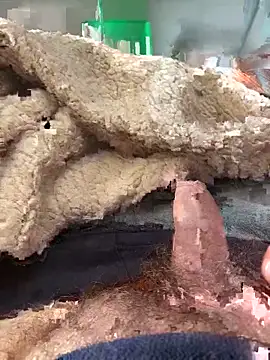 D4n13l47 online show from March 4, 2026, 10:01 am