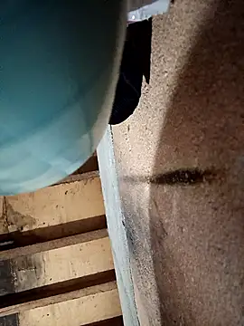 Kayleee09 online show from February 17, 2026, 1:30 pm