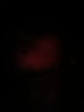 peanutbutteater online show from June 9, 2026, 2:29 pm