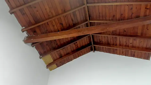 TonyPetrovjs online show from March 15, 2026, 7:37 am