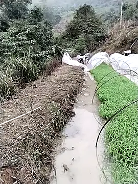 Snapshot of ngocbao11 chatting on March 12, 2026, 1:11 am ngocbao11 online show from March 12, 2026, 1:11 am