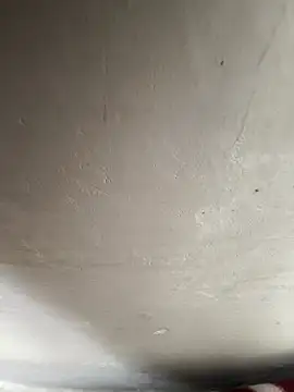 Snapshot of reena-sassy chatting on February 20, 2026, 8:27 am reena-sassy online show from February 20, 2026, 8:27 am