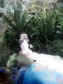 mar coral2 online show from July 7, 2026, 1:36 pm